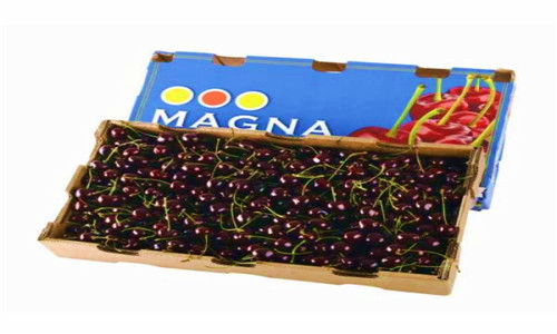 马上过年了卖什么年货赚钱,卖年货的技巧