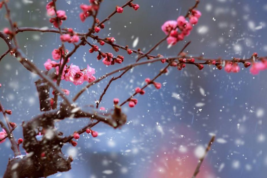 诗词喝火令词牌,诗词喝火令