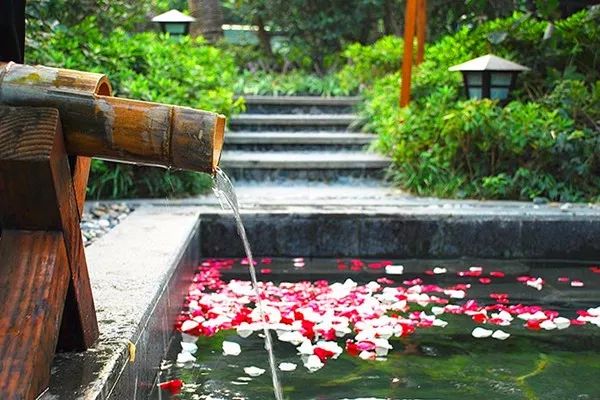 再上22天班，郑州人集体放假！做完这16件事，就过年啦！