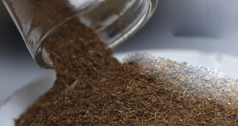 世上最好的沉香是什么,沉香的核心