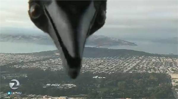 囧囧有神随拍记录生活,囧囧有神事件簿