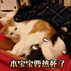 “我老公让苍蝇蹬一脚都能哼两天”女人集体吐槽老公矫情,笑抽了!