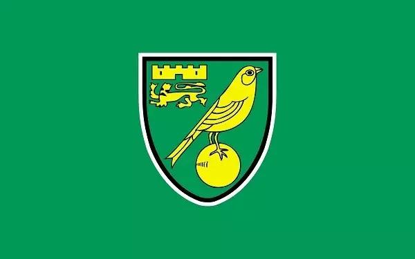 海鸥老鹰天鹅,英格兰俱乐部为什么都喜欢用鸟来做队徽?