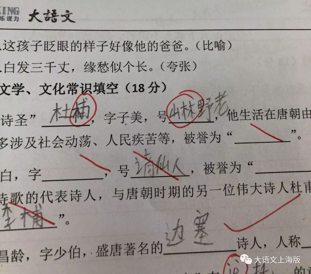 错别字大王,错别字大王暑期计划