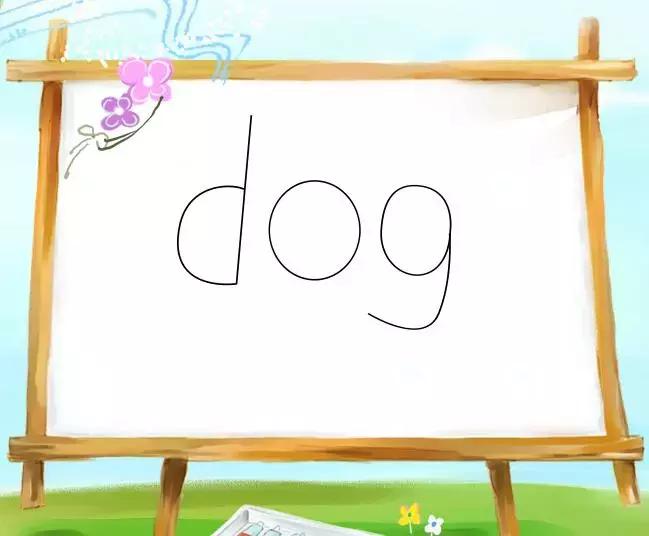 熊猫和大象的英语单词,panda和zoo单词教学