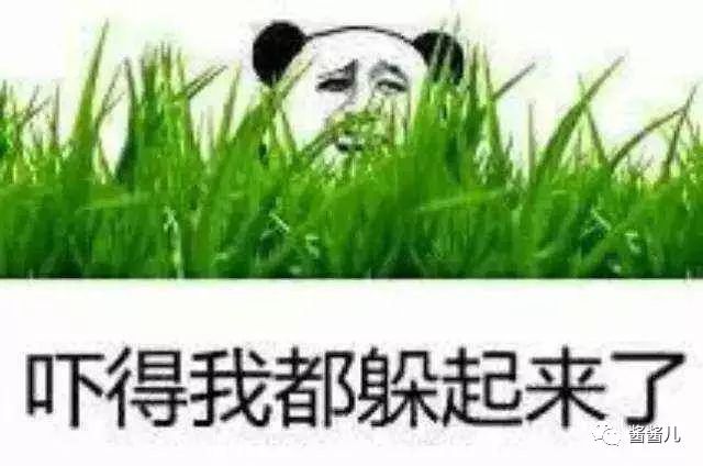 50款肌底液,40-50岁精华液推荐实测