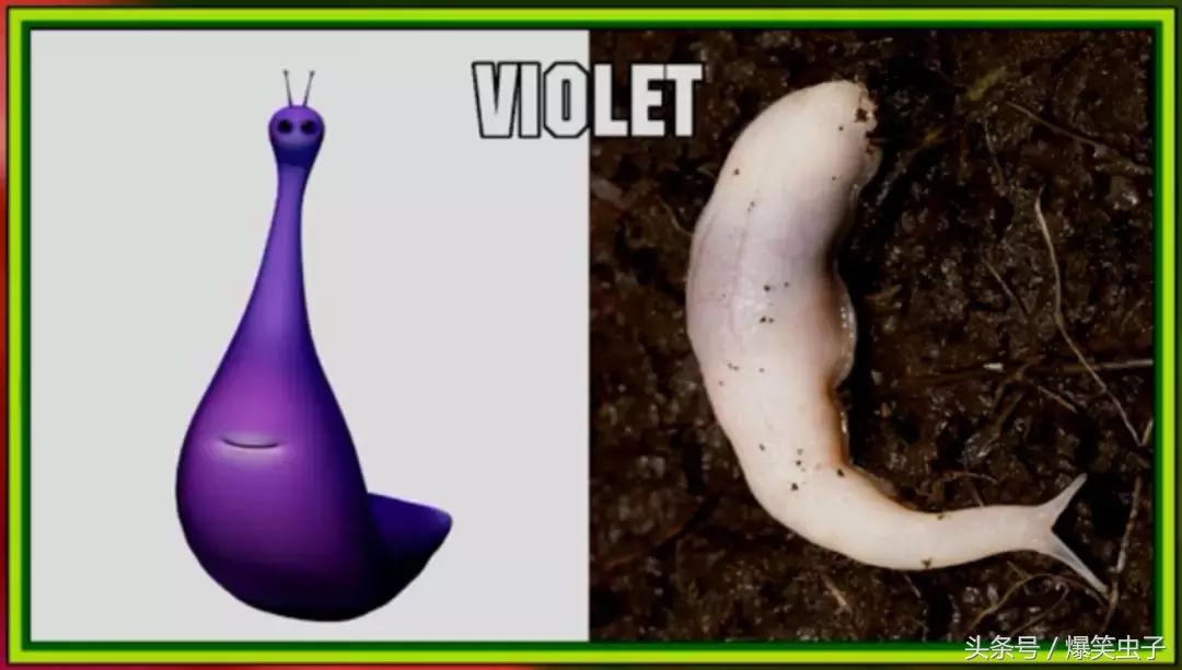 爆笑虫子小粉虫怎么来的,快速了解爆笑虫子