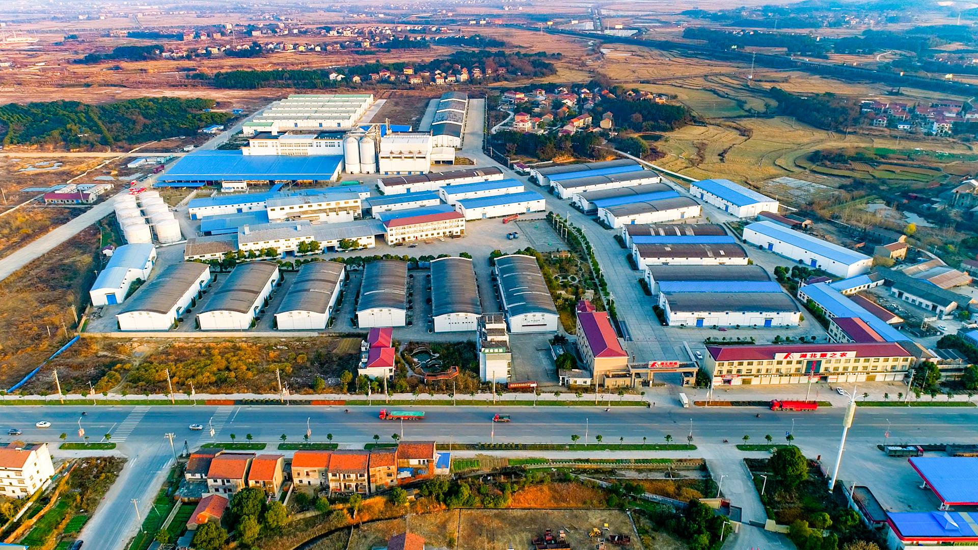 粮油产业化龙头企业,康宏粮油现状如何