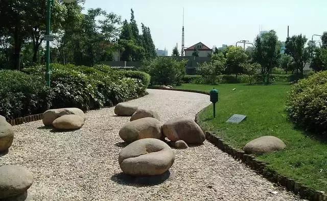 上海100个公园图片,上海有哪些免费的国家级公园