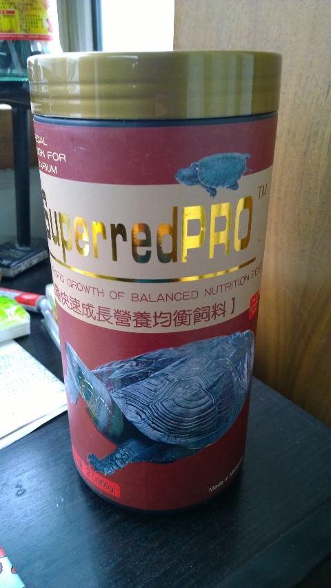 巨头蛋龟饲养环境造景,养龟养鱼生态缸