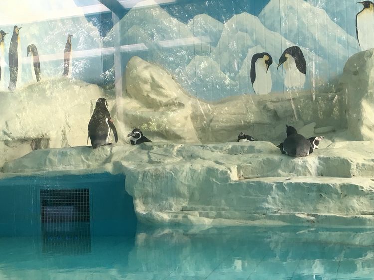 和小屁孩们一起出去玩的视频,和小屁孩玩的一天