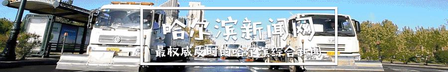 哈尔滨最爱看的书,哈尔滨人喜欢看什么书