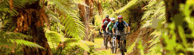 61岁华裔夫妇被枪杀；新西兰钓龙虾配额大幅下降；新西兰早教雅思要求只升不降；纽村新*局骗**，这次让你买礼品卡