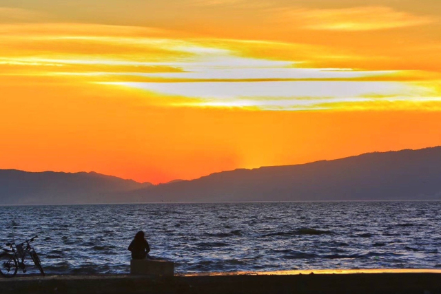 春城秀红嘴鸥图片,春城冬日美景