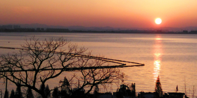 春城秀红嘴鸥图片,春城冬日美景