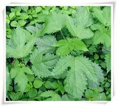 芈月传剧情讲解完结,芈月传剧情全解说完结