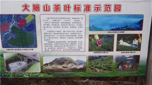 不吹牛了,不吹牛你会怎么样