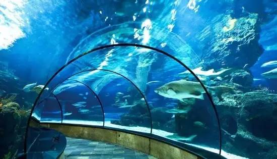 上海魔都生日攻略,魔都生日免费攻略