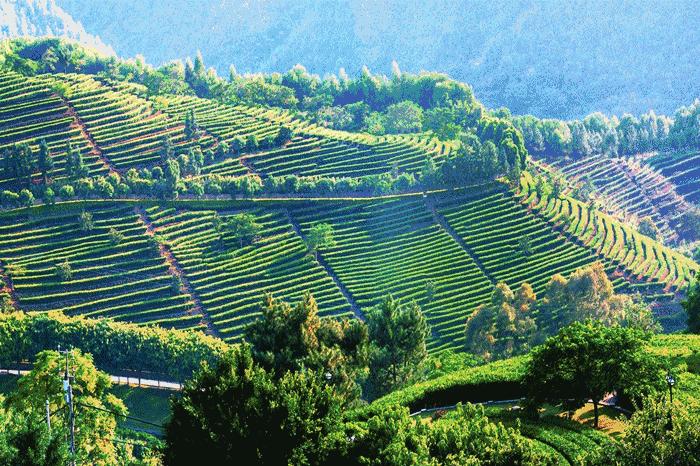 魔都5大绝美免费景点,魔都十大避暑景点