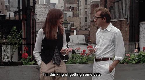 电影人谈伍迪艾伦,伍迪艾伦关于爱情