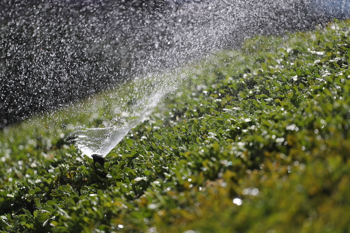 旗舰风范再临佳能EOS1DXMarkII评测