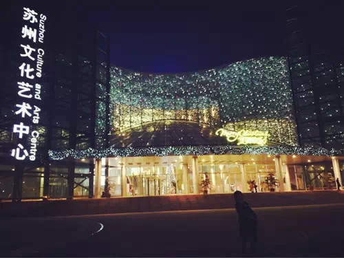 又一个全国第一！苏州人8.8亿都花这里了