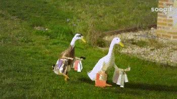 好便宜呀的意思,好便宜英文怎么说