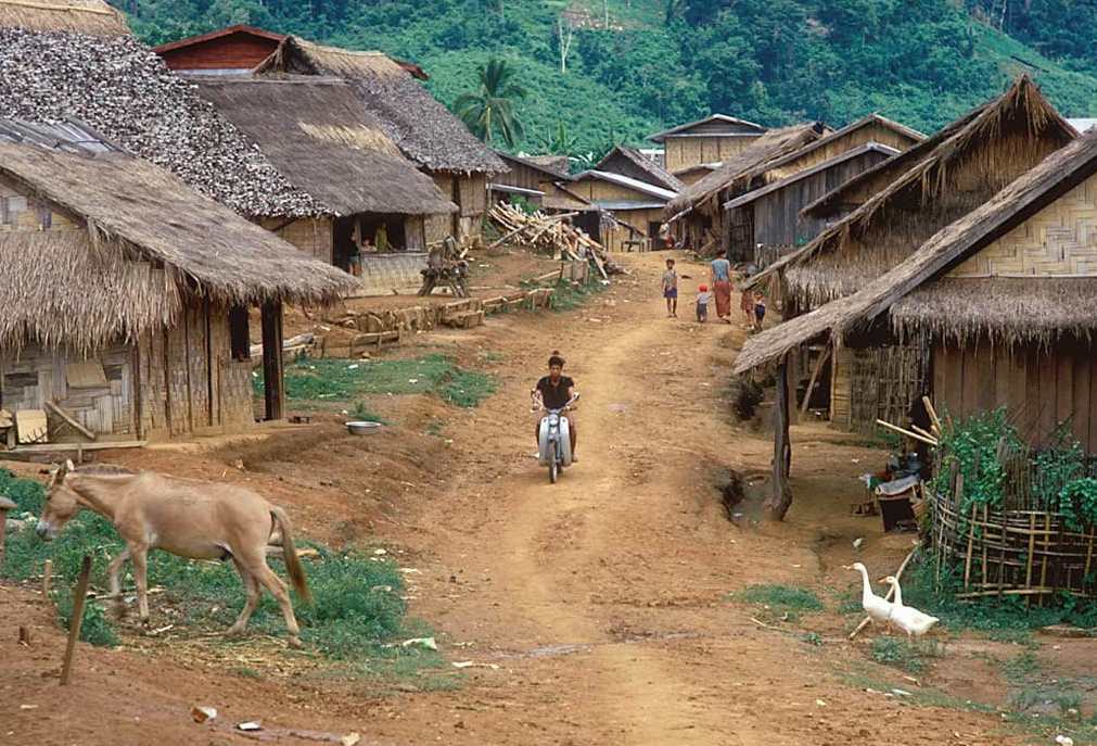 桃花飘零后.（李长风原创长篇小说连载五）