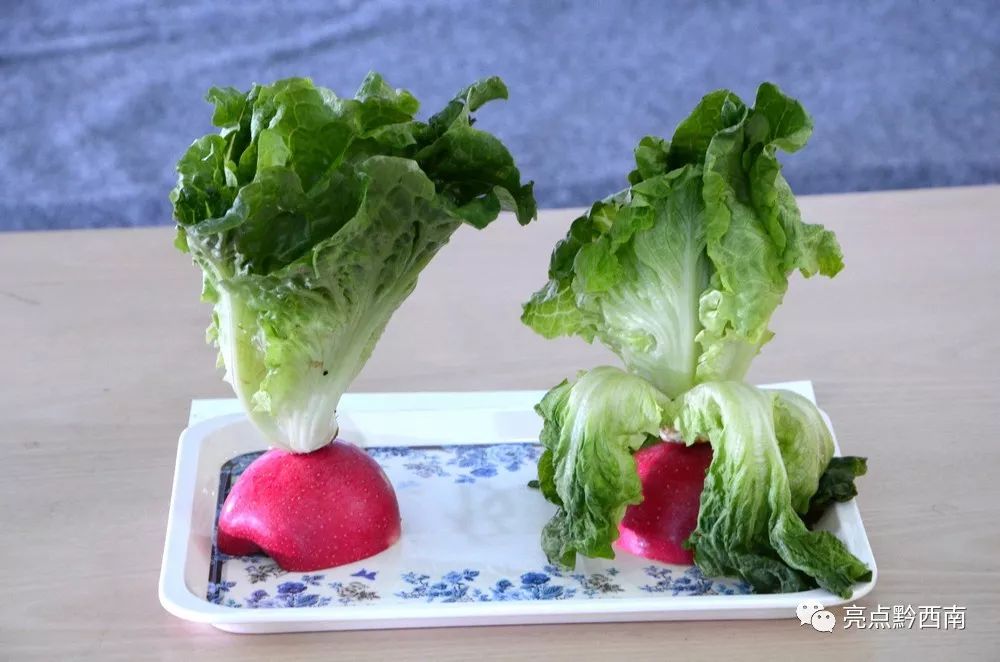 11天后,兴义这项“挑战不可能”结果出来啦!见证的人都服了!