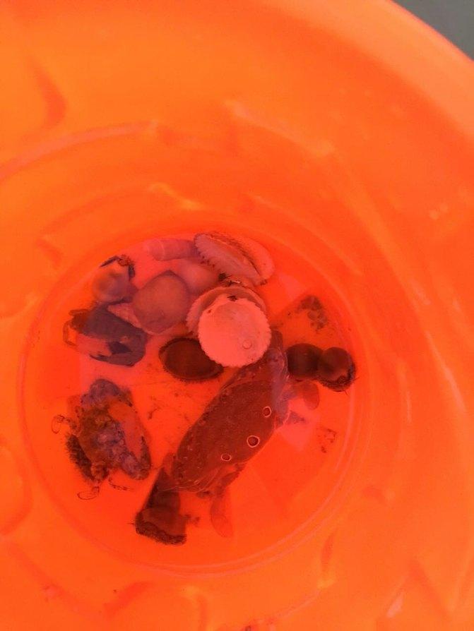 三亚周末亲子游最佳方案,三亚亲子游纯玩团