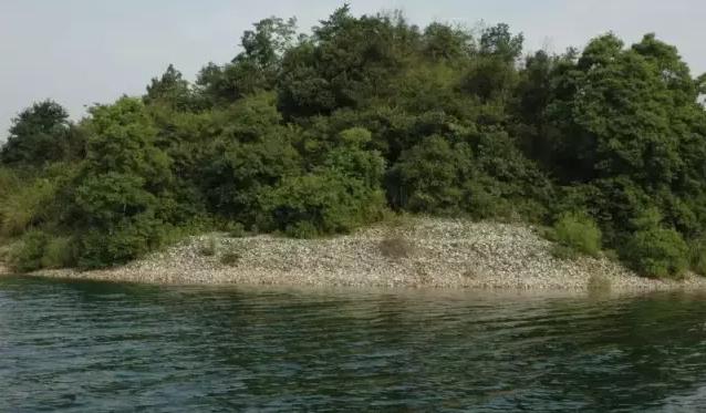 醴陵有哪些出名的地方,醴陵十强镇排名