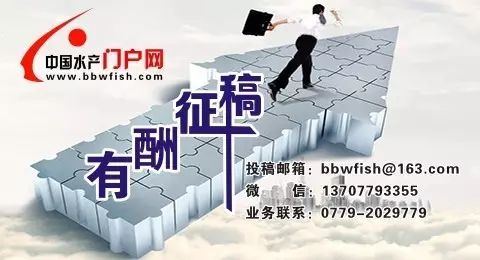 小龙虾养殖塘如何建设,养小龙虾田怎样建塘为好