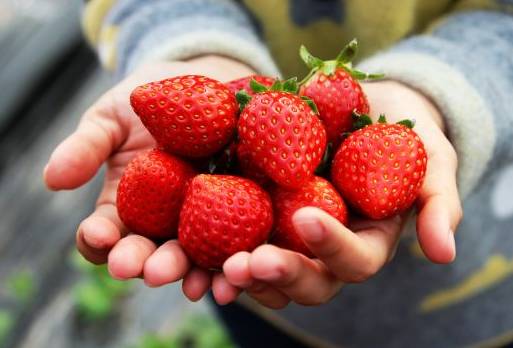 姹変腑鍧愰珮閾佺帺鐨勫ソ鍘诲,鍘绘眽涓帺濂借繕鏄幓骞垮厓鐜╁ソ