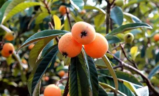 汉中一日游攻略高铁,汉中周边2-3天短途旅游坐高铁