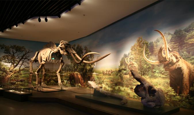 天博近期展览,天博活动安排