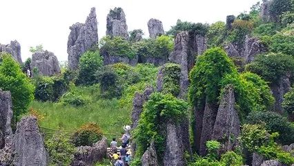 华蓥山风景区下雪了吗,华蓥山2022年2月1号下雪了吗