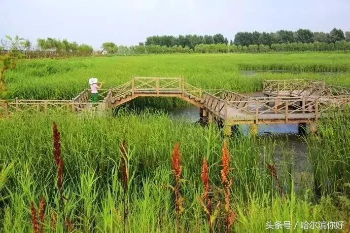 2018年哈尔滨各区县排名,2018年哈尔滨各区gdp