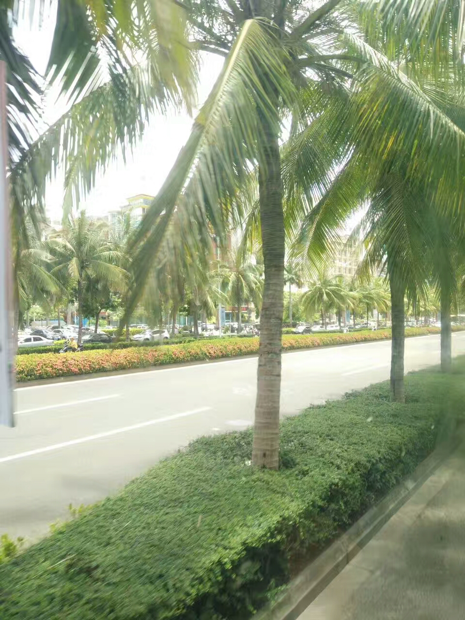 代沟的主要责任在父母,父母和自己的审美代沟