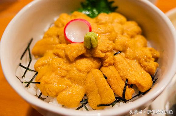 日式虾海鲜丼,日本海鲜丼在哪里
