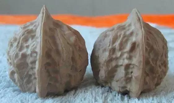 文玩核桃品种图鉴大全前十名,文玩核桃手串品种大全