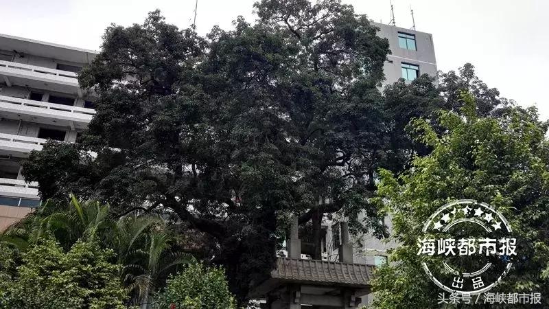 福州织缎巷,福州走读