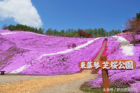 日式虾海鲜丼,日本海鲜丼在哪里