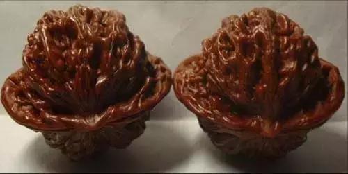 文玩核桃品种图鉴大全前十名,文玩核桃手串品种大全