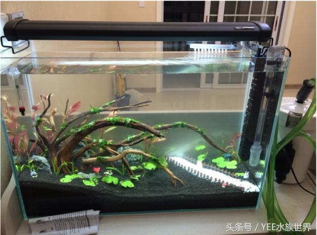 上过滤小鱼缸改造,小鱼缸怎么加装过滤器