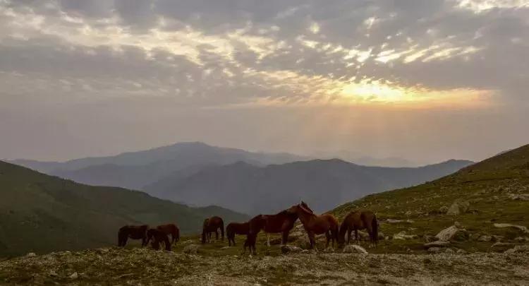 春节旅游一定要去五台山吗,今年冬天一定要去一趟五台山