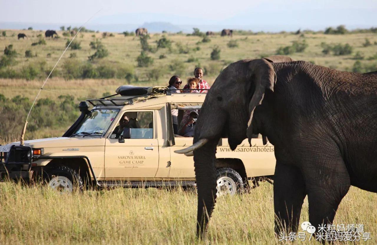 亲子游出境自由行,亲子游建议去的十个城市