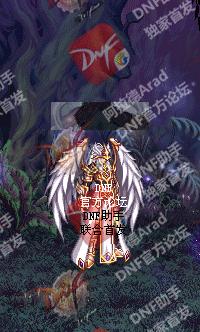 地下城与勇士2020礼包时装,地下城与勇士2023年新春礼包宠物