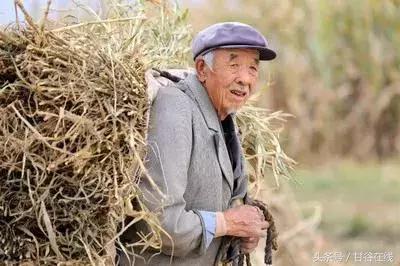 头甲、七甲通往甘谷二中的那条土路——牛小林