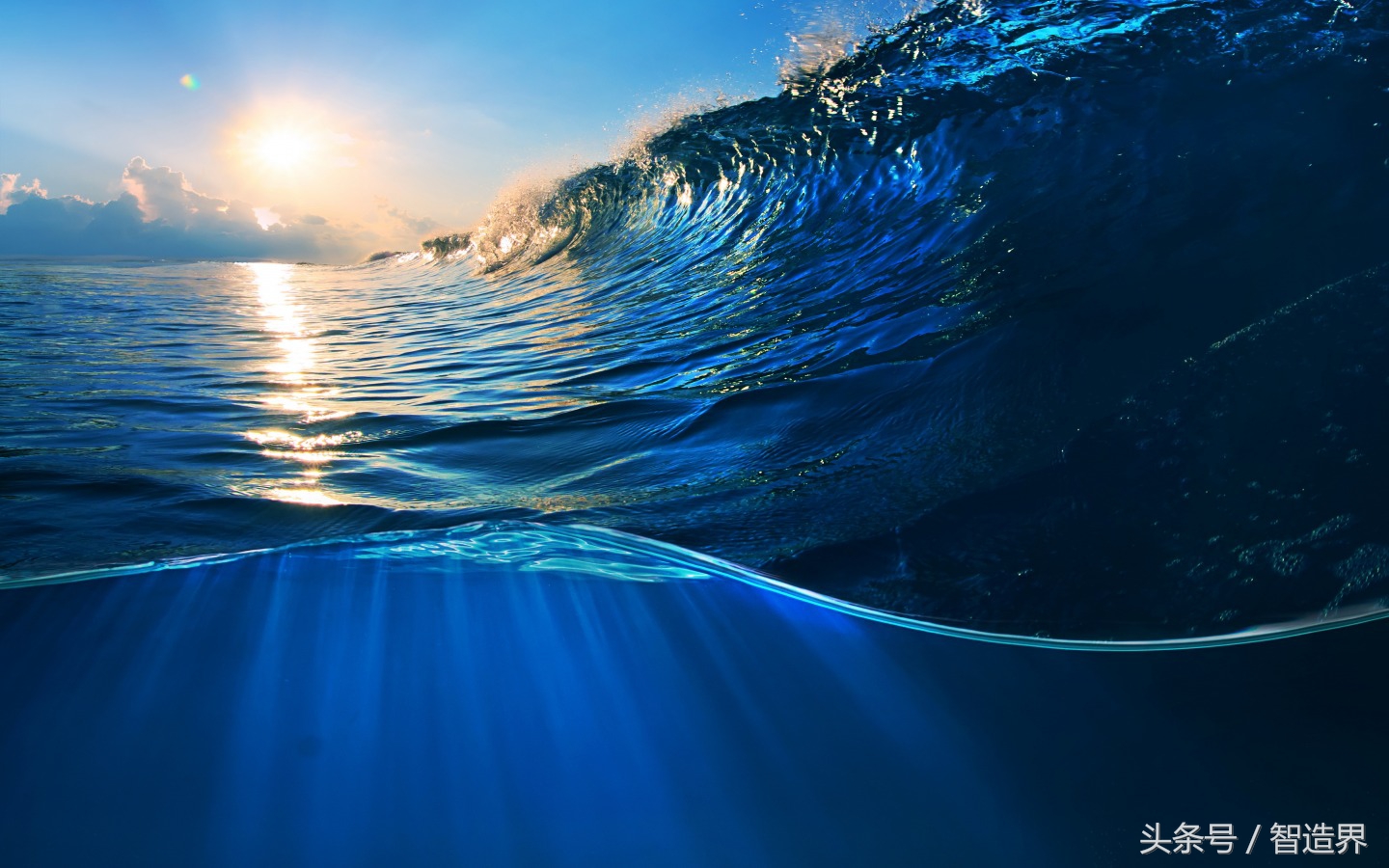 海底神秘事件未解之谜在线观看,海底里的谜题