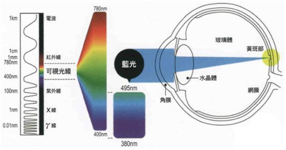 涓浗绉诲姩cmcc璇勬祴,涓浗绉诲姩cm311-5s娴嬭瘎